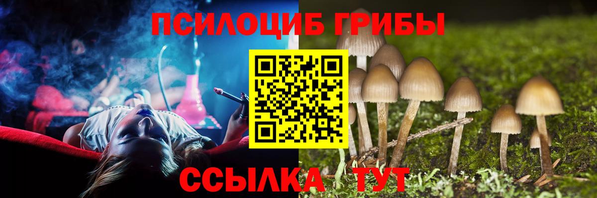 Галлюциногенные грибы прущие грибы  Вход с VPN  как найти закладки  Егорьевск 